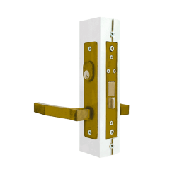 CHAPA 550-AD DORADA PHILLIPS