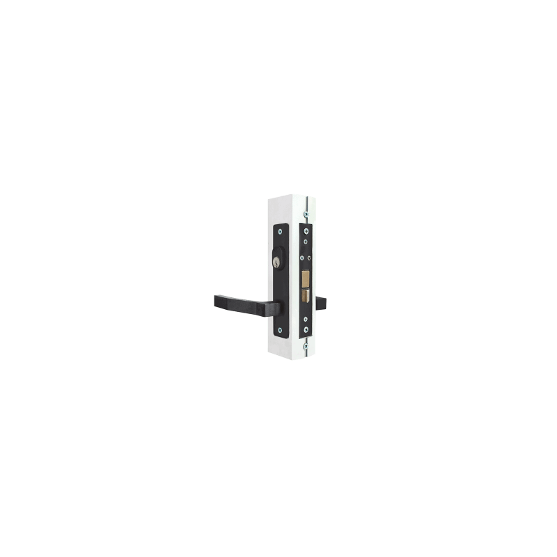 CHAPA 550-ANE ANODIZADA NEGRO PHILLIPS